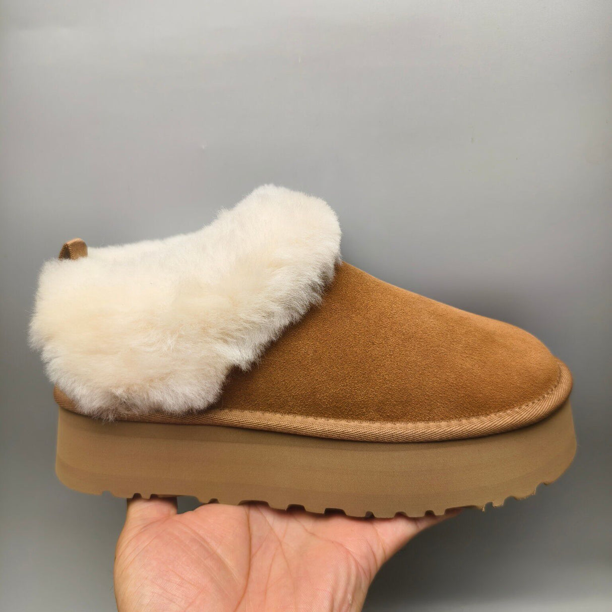 UGG Tazzelle Chestnut