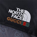 1996 Nuptse Gucci x The North Face Joint Gucci Presbyopia Logo Down Jacket Gray - ESTOCKK