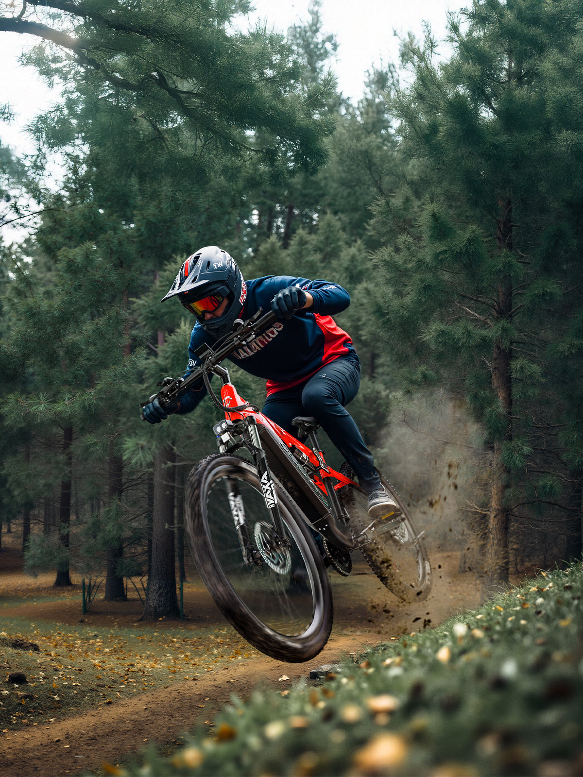 Duotts E29 e-bike estockk.com