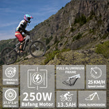 Duotts E29 e-bike estockk.com