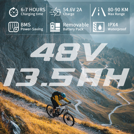 Duotts E29 e-bike estockk.com