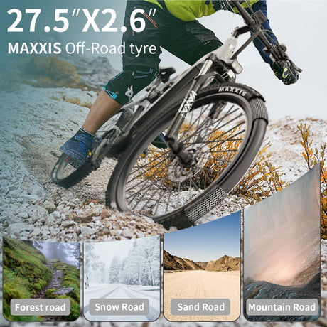 Duotts E29 e-bike estockk.com