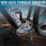 Duotts E29 e-bike estockk.com