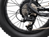 LAGOM E-BIKE estockk.com