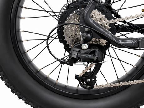 LAGOM E-BIKE estockk.com